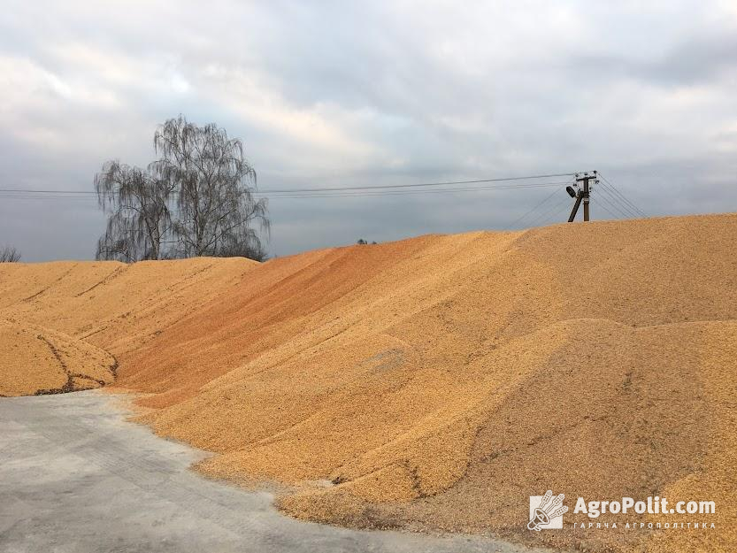 Зерно експортується в регіони, які його потребують: Північна Африка, Аравійський півострів