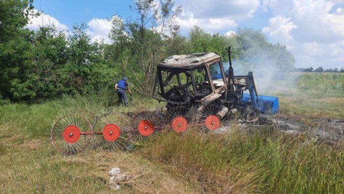 Чисельність поголів’я великої рогатої худоби в усіх українських господарствах склала 2,54 млн голів