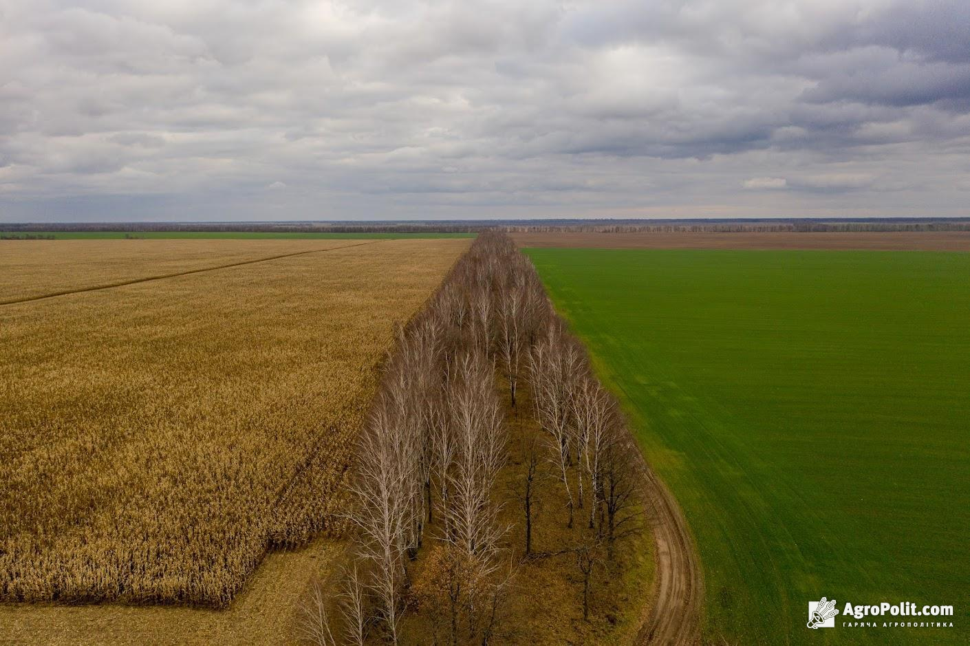 Рішення Кабміну запускає систему моніторингу роботи сертифікованих інженерів – землевпорядників