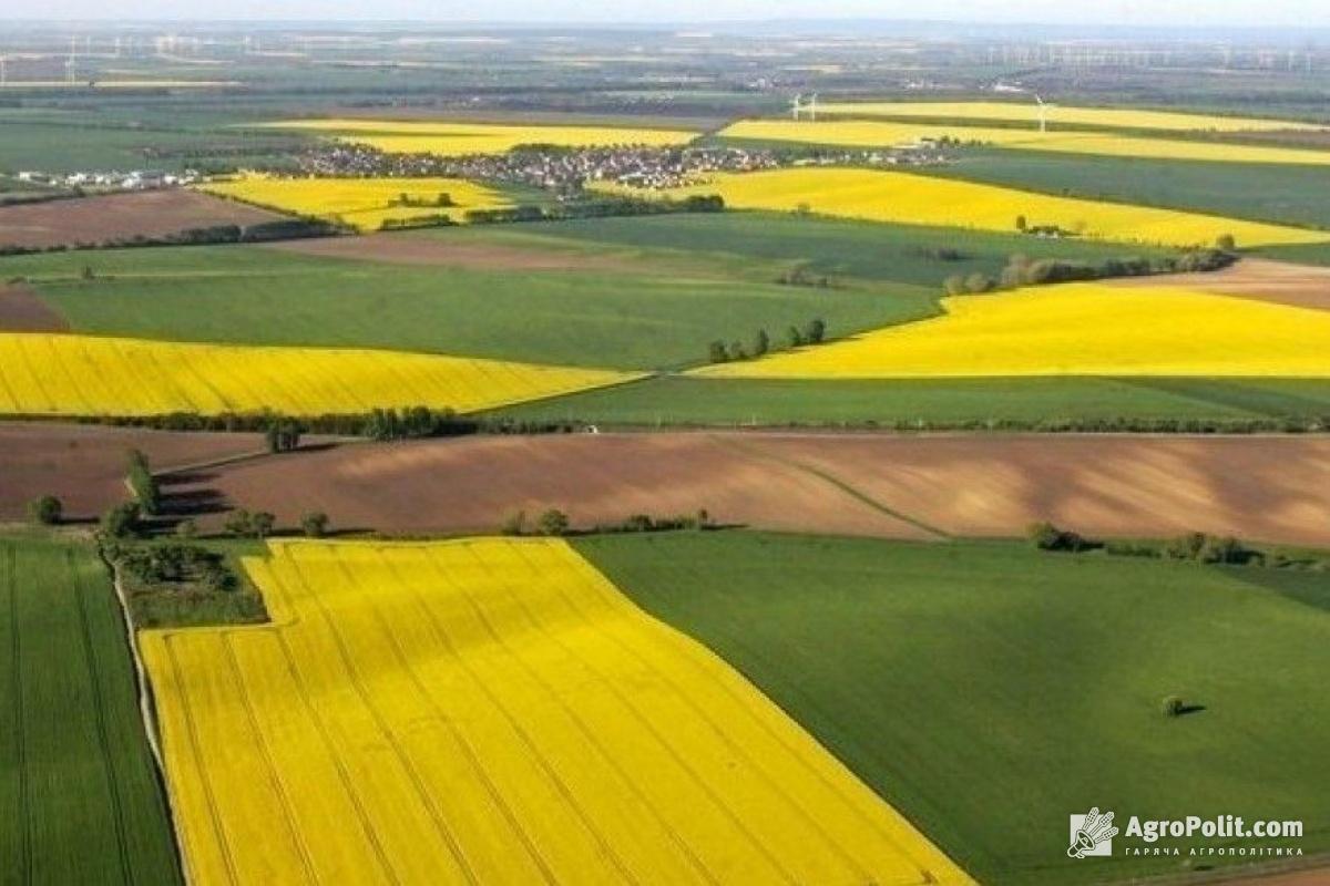 Окремі підприємства отримають значні переваги при передачі земельних ділянок