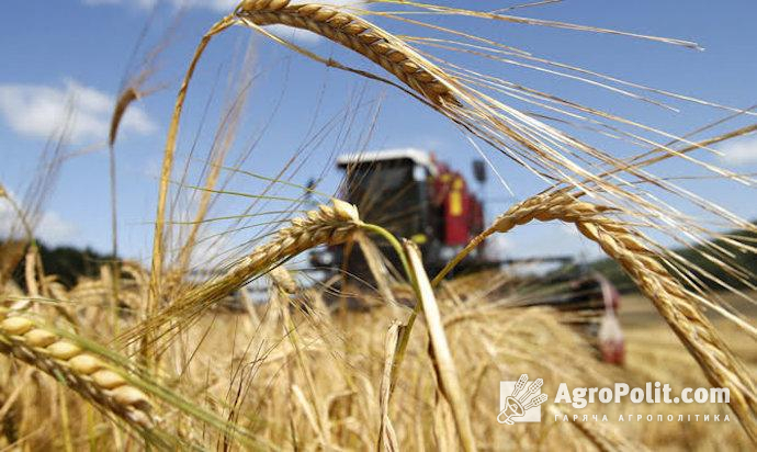 Змін може зазнати структура посівів озимих культур