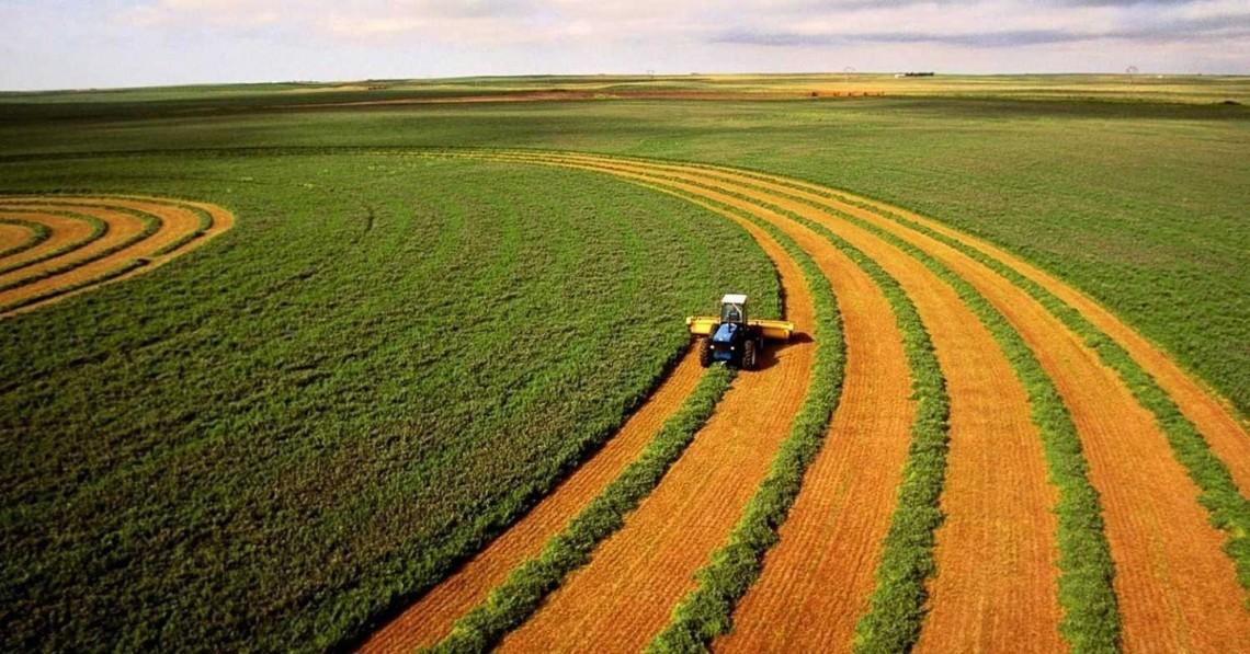 Новий законопроєкт пропонує виправити колізію з універсальним правонаступництвом землі