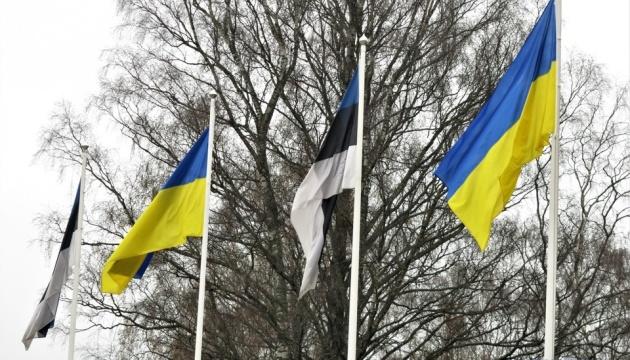 Естонія розглядає варіанти для підтримки соціальних проєктів і українського бізнесу