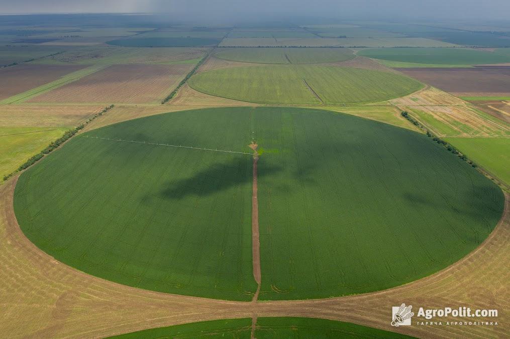 Середня ціна гектару землі за два роки вільного ринку не дотягує навіть тисячі доларів 