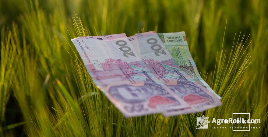 Ухвалені урядом зміни передбачають розширення можливостей для використання грантів