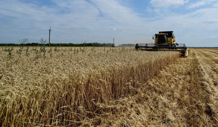 Аграрії через відсутність грошей залишають частину землі незасіяною.