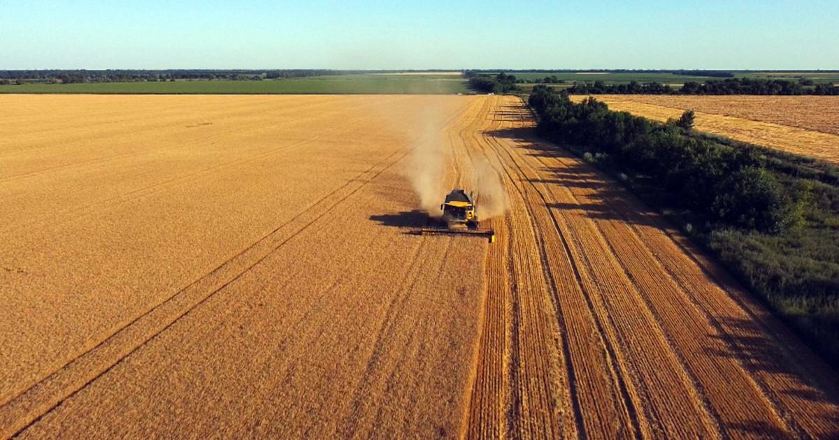 Головними проблемами аграріїв залишається дефіцит коштів, низькі ціни на продовольство і перебої з експортом