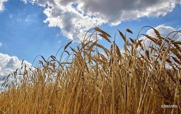 Незважаючи на важкий воєнний час та складні обставини, більшість аграріїв планують продовжувати роботу