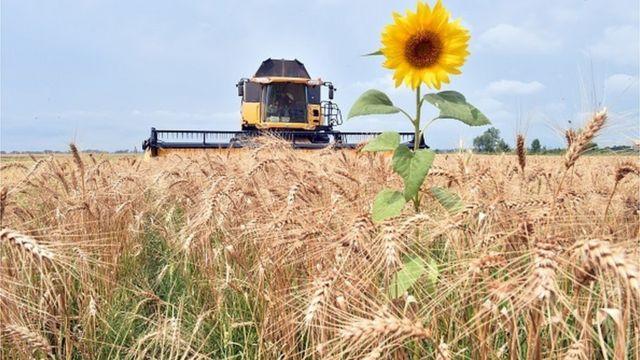 Відкриття вільного ринку землі має допомогти розвитку бізнесу