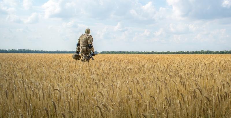 На лінії фронту розташовані великі військові укріплення та мінні поля