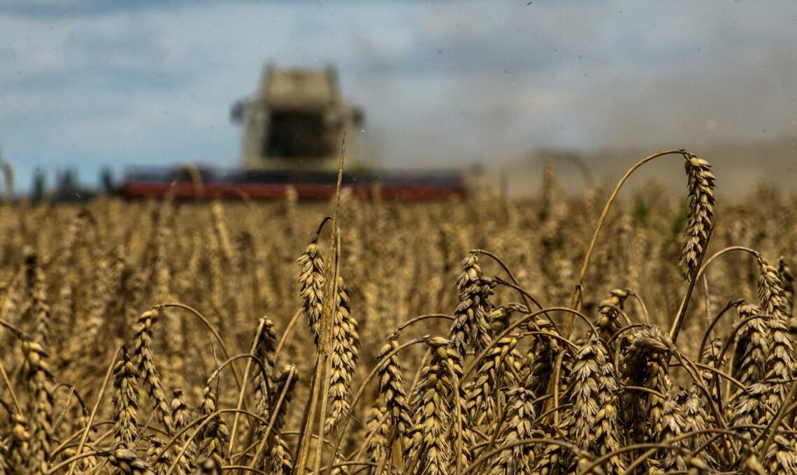 Загальний показник експорту за маркетинговий рік станом на зараз становить 31,212 млн т