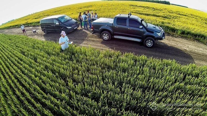 Економити на ЗЗР аграрії мають змогу, замінюючи оригінали засобів на їхні генерики