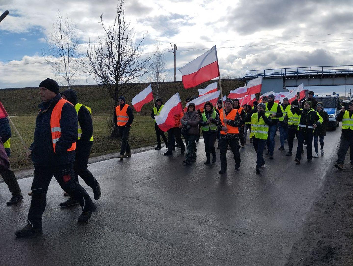 Імпорт з України не впливає суттєво на зниження цін на зерно в Польщі