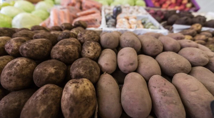 Пропозиція картоплі залишалася досить об'ємною, тоді як попит на продукцію продовжував знижуватися