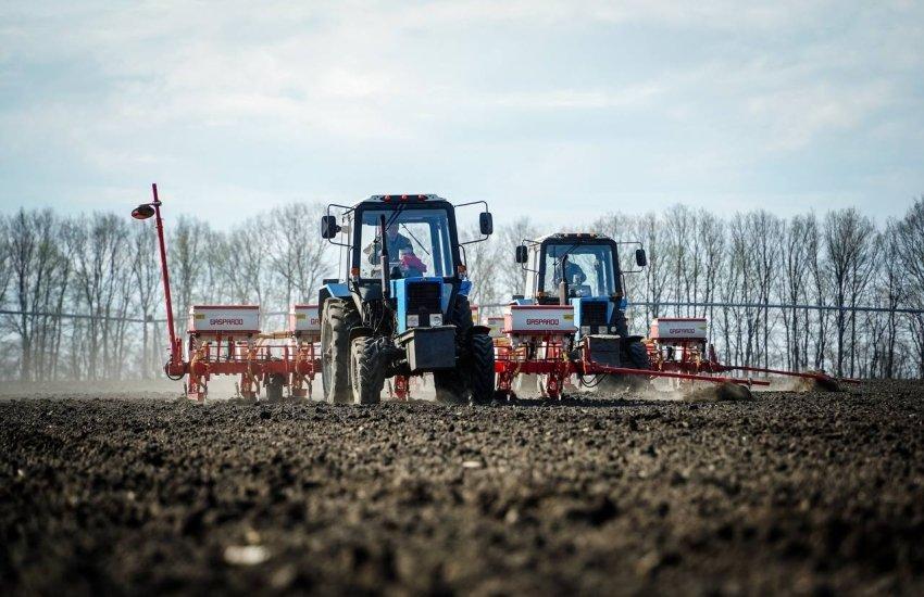 Аграрії Буковини, Тернопільщини, Полтавщини, Одещини, Кіровоградщини, Волині та Вінниччини завершили сіяти