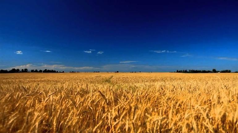 В Україні вирішили пришвидшити відновлення пошкоджених війною земель