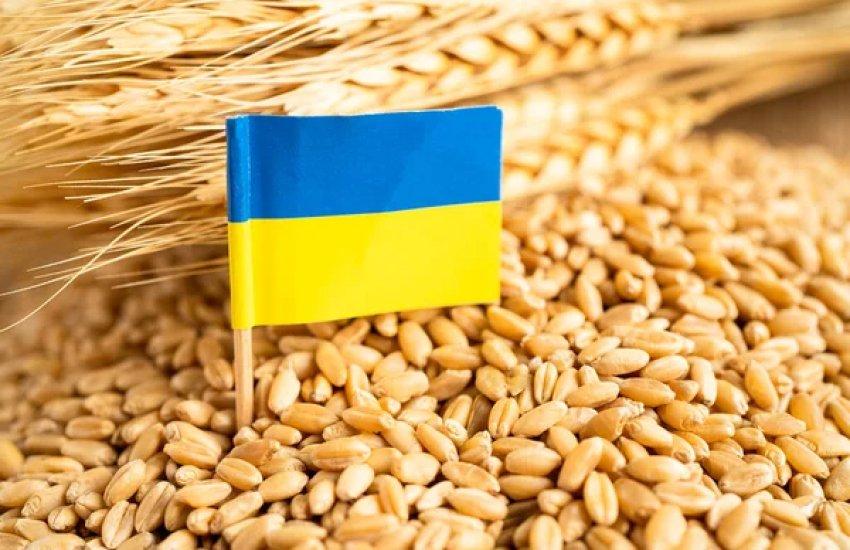 Ціни будуть встановлюватися в доларах США за кілограм