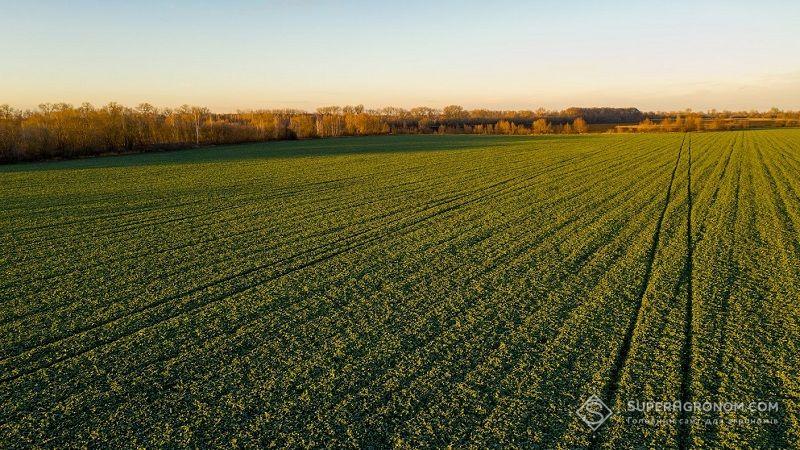 Ділянки можна використовувати для індивідуального житлового будівництва, садівництва та городництва.