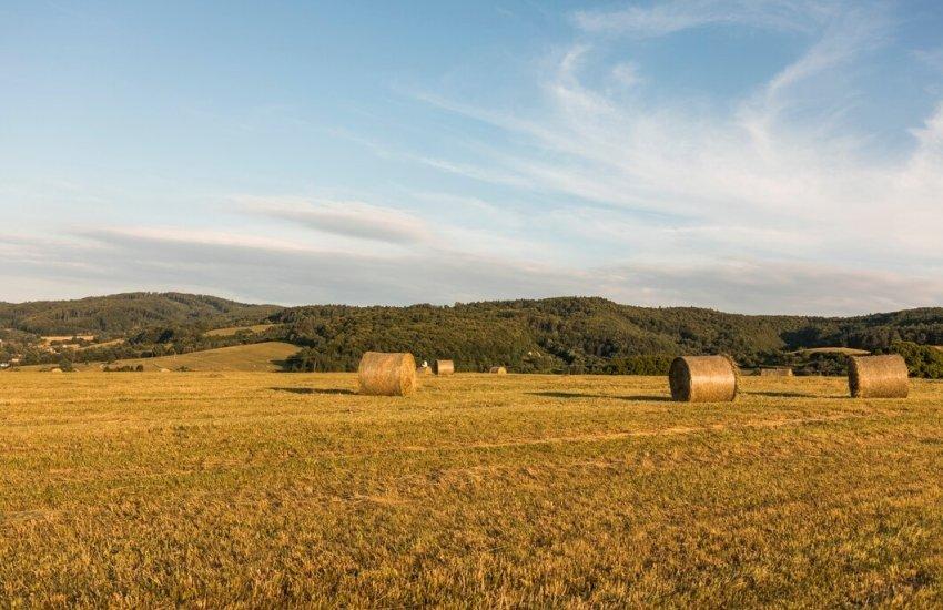 У ході аукціонів надійшло 21 пропозиція від учасників