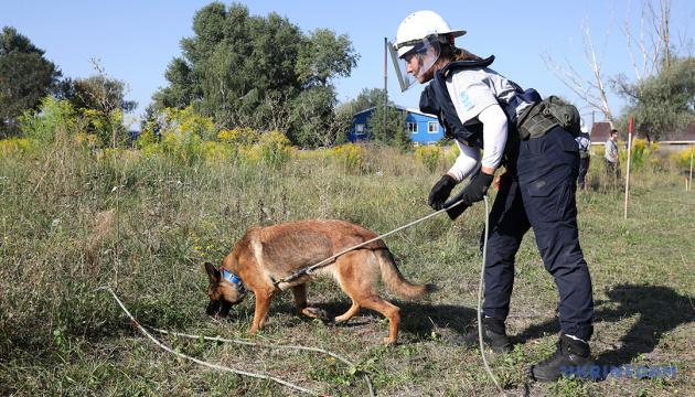 Проєкт передбачає залучення інвестицій та ресурсів від міжнародних партнерів 