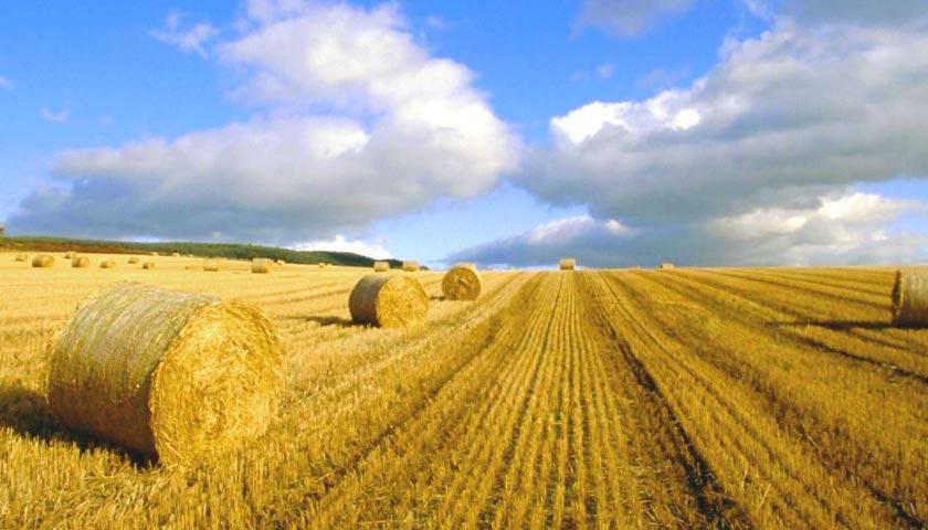 Сплата відбулася вперше після вилучення сільськогосподарських земель у держпідприємств